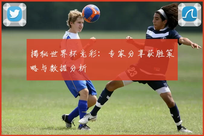 揭秘世界杯竞彩:专家分享获胜策略与数据分析