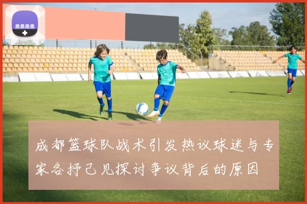成都篮球队战术引发热议球迷与专家各抒己见探讨争议背后的原因