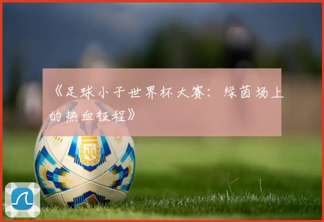 《足球小子世界杯大赛：绿茵场上的热血征程》