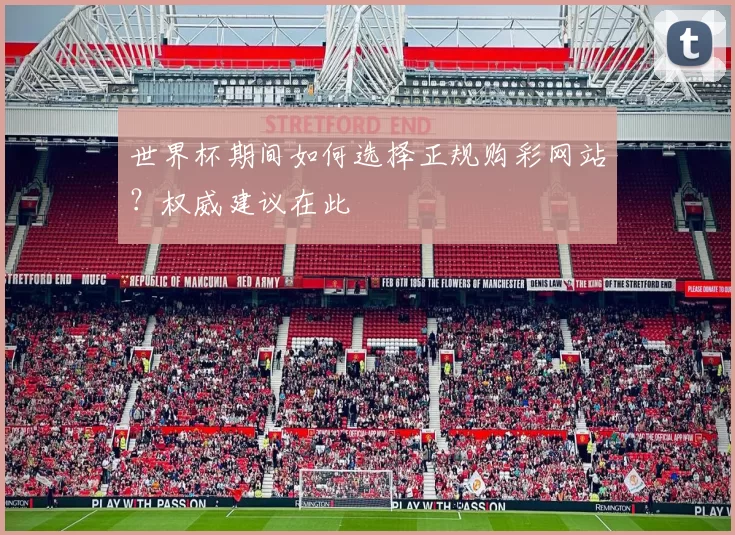 世界杯期间如何选择正规购彩网站?权威建议在此
