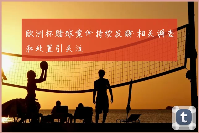 欧洲杯赌球案件持续发酵 相关调查和处置引关注