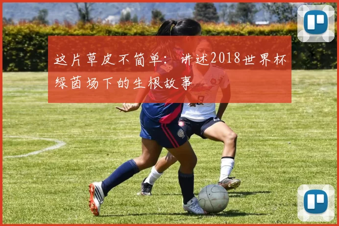 这片草皮不简单:讲述2018世界杯绿茵场下的生根故事