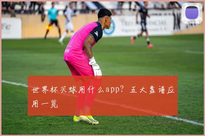 世界杯买球用什么app?五大靠谱应用一览