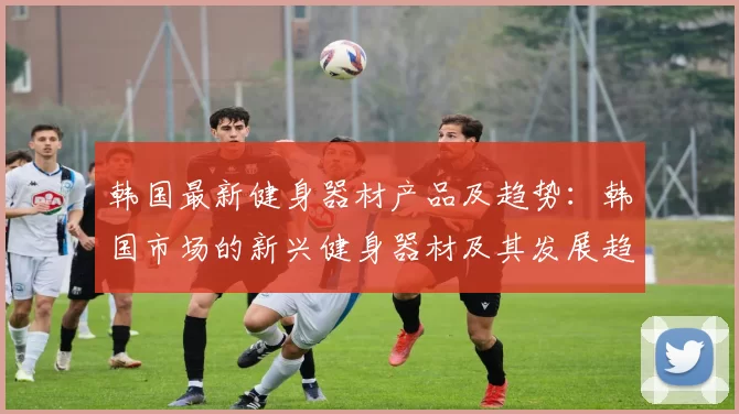 韩国最新健身器材产品及趋势：韩国市场的新兴健身器材及其发展趋势