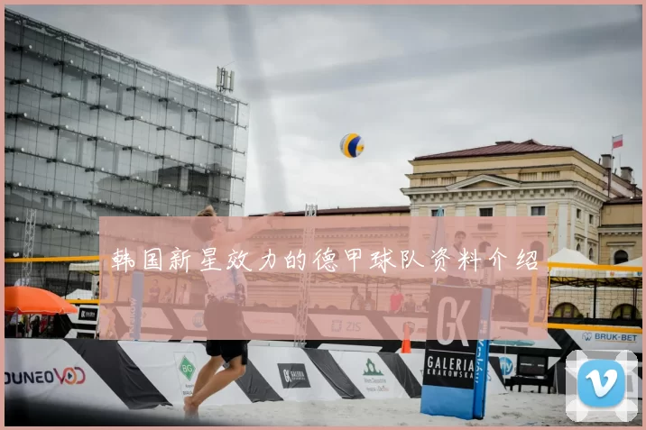 韩国新星效力的德甲球队资料介绍