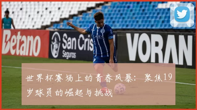 世界杯赛场上的青春风暴:聚焦19岁球员的崛起与挑战