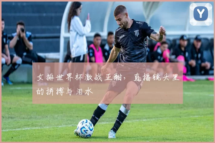 女排世界杯激战正酣，直播镜头里的拼搏与泪水