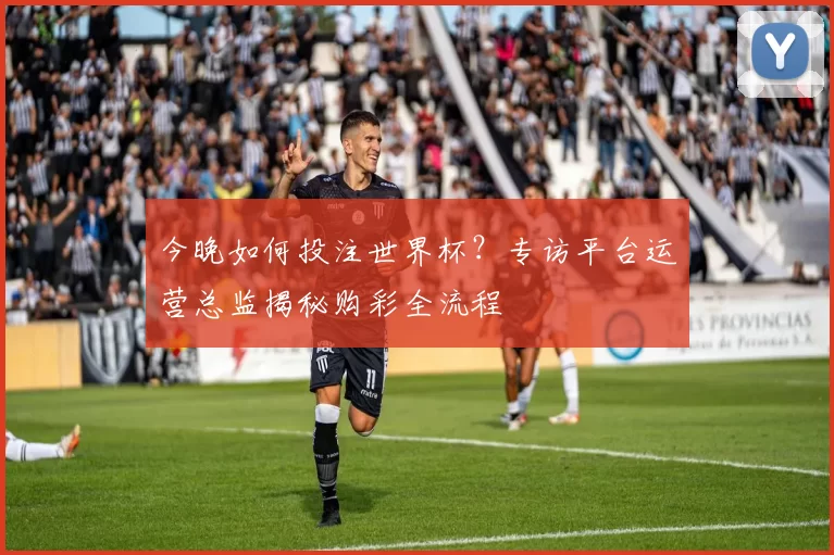 今晚如何投注世界杯?专访平台运营总监揭秘购彩全流程