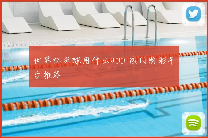 世界杯买球用什么app 热门购彩平台推荐